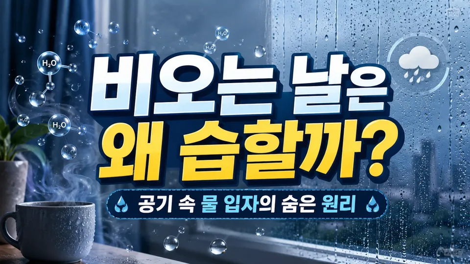 비오는 날은 왜 습할까? 공기 속 물 입자의 숨은 원리